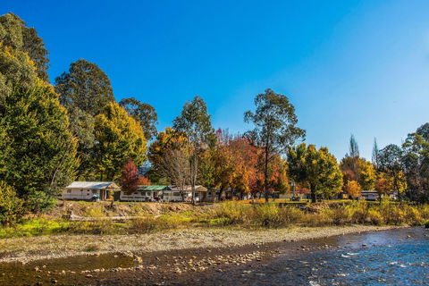 Porepunkah Bridge Holiday Park - Maitland Accommodation 1