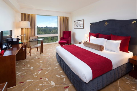 Royal On The Park Hotel And Suites - Maitland Accommodation 1