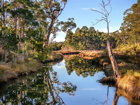 Saintys Creek Cottage - Maitland Accommodation 1