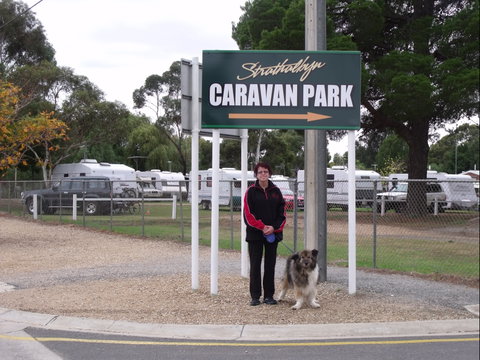 Strathalbyn Caravan Park - Maitland Accommodation 0
