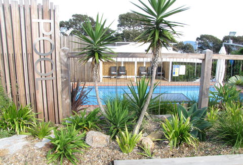 Top Of The Town Motel - Maitland Accommodation 2