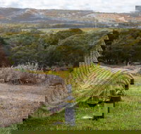 131 - Heart of the Vale - Maitland Accommodation