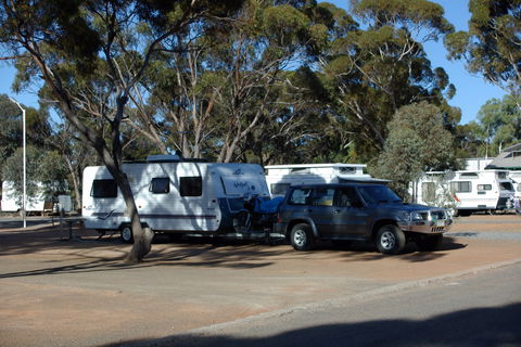 Acclaim Gateway Tourist Park - Maitland Accommodation 2