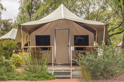 Amblin Holiday Park - Maitland Accommodation 0