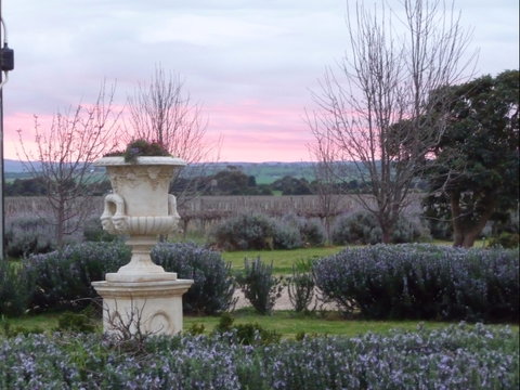 Angas Plains Wines Suites - Maitland Accommodation 2
