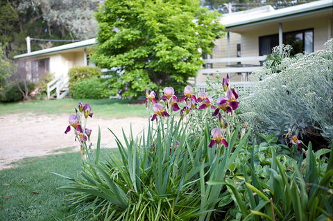 Annies Holiday Units - Maitland Accommodation 2