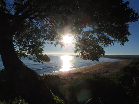 Apex Beachside Holiday Park - Maitland Accommodation 1