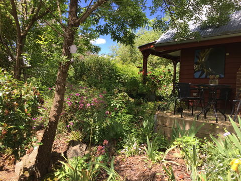 Artscape Cottage Beechworth - Maitland Accommodation 2