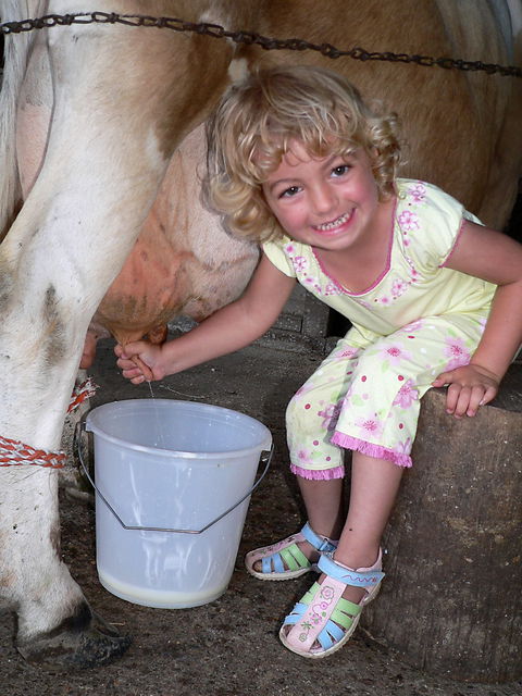 Ashmar Farmstay - Maitland Accommodation 1