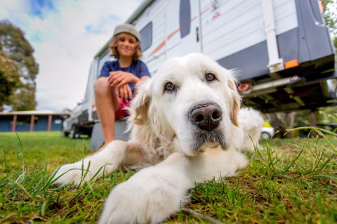BIG4 St Helens Holiday Park - Maitland Accommodation 2
