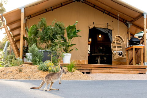 BIG4 Anglesea Holiday Park - Maitland Accommodation 2