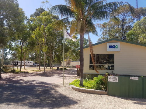 Big4 Blanchetown Riverside Holiday Park - Maitland Accommodation 0