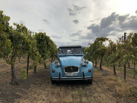 Birches Bed And Breakfast Mudgee - Maitland Accommodation 2