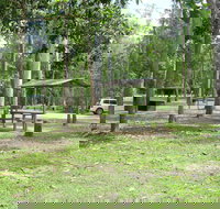 Broadwater camping area Abergowrie State Forest - Maitland Accommodation