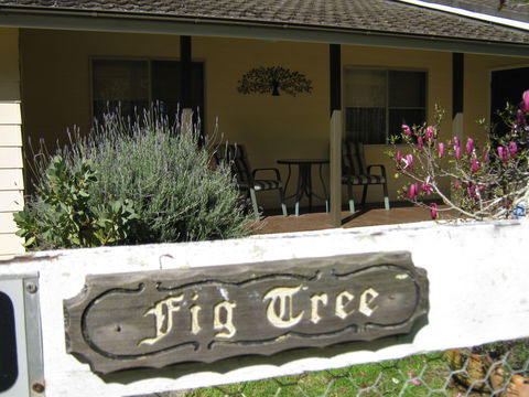 Figtree Cottage - Maitland Accommodation 0