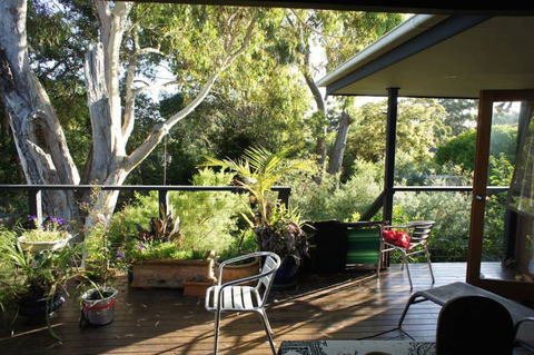 Kookaburra Dreaming - Maitland Accommodation 2