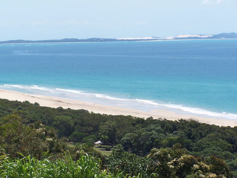 Pandanus Palms Holiday Resort - Maitland Accommodation 0