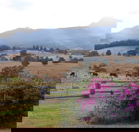 The Barn  House Farm Stay at Possum Manor - Maitland Accommodation