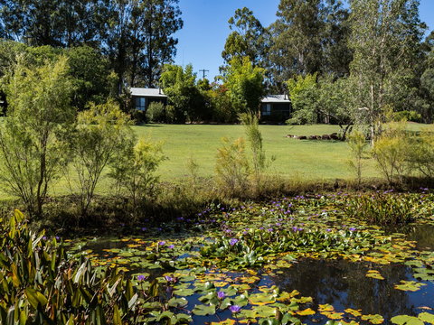 Tuckeroo Cottages And Gardens - Maitland Accommodation 1
