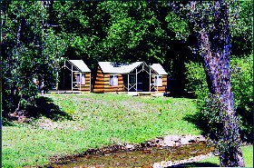 Bright Caravan Park - Maitland Accommodation 1