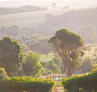 Mackas Farm - Maitland Accommodation