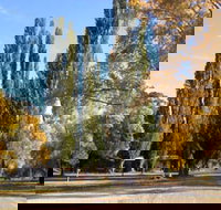 Omeo Caravan Park - Maitland Accommodation