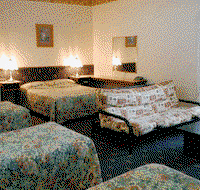 Avalon Motel - Maitland Accommodation