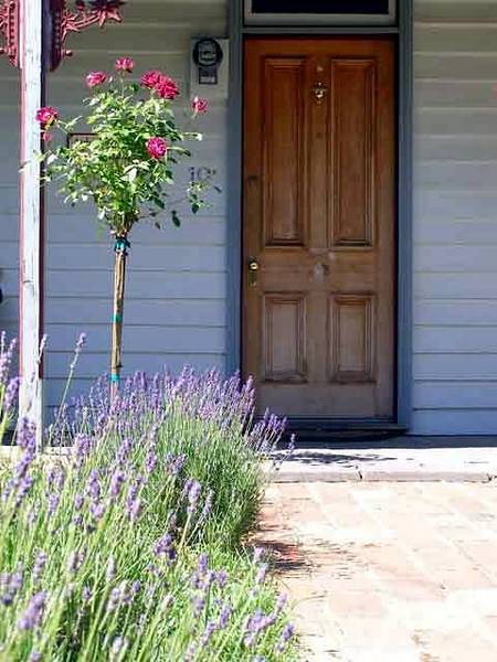Airleigh - Rose Cottage - Maitland Accommodation 2