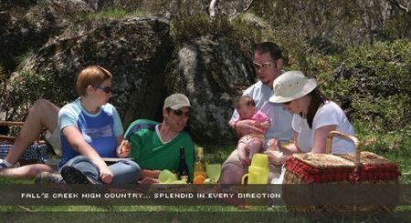 Alpine View Apartments - Maitland Accommodation 2