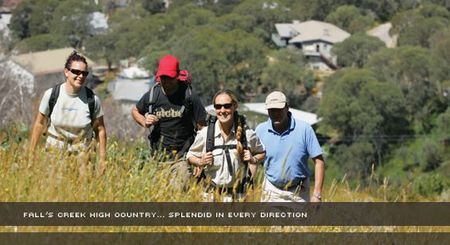 Alpine View Apartments - Maitland Accommodation 3