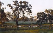 Ardwick Homestead - Maitland Accommodation 1