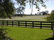 Ardwick Homestead - Maitland Accommodation 2