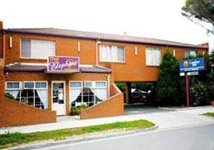 Comfort Inn Bay City Geelong - Maitland Accommodation 0
