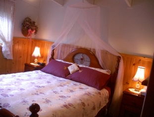 Alfay Cottage - Maitland Accommodation 1