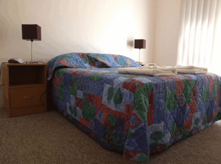 Carnarvon Central Apartments - Maitland Accommodation