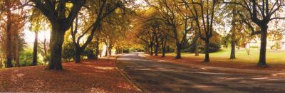 La Trobe At Beechworth - Maitland Accommodation 0
