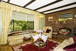 Curtis Falls Mountain Retreat - Maitland Accommodation 1