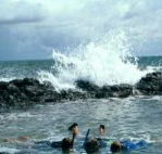 Bargara Beach Motor Inn - Maitland Accommodation