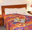 Homestead Motor Inn And Apartments - Maitland Accommodation