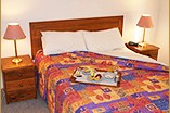 Homestead Motor Inn And Apartments - Maitland Accommodation 0