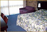 Homestead Motor Inn And Apartments - Maitland Accommodation 1