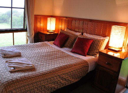 Apollo Bay Colonial Cottages - Maitland Accommodation 1