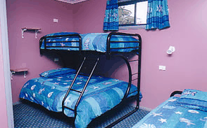Homelea Accommodation Apartments - Maitland Accommodation 0