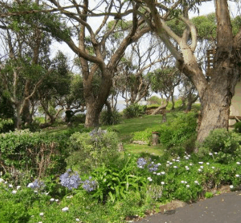 Anchlia Waterfront Cottage - Maitland Accommodation 2