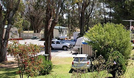 Yorketown Caravan Park - Maitland Accommodation 0