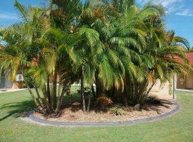Yamba Motor Inn - Maitland Accommodation 5