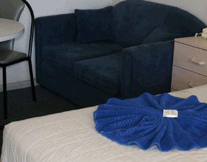 County Lodge Motel - Maitland Accommodation 0