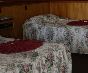 County Lodge Motel - Maitland Accommodation 1