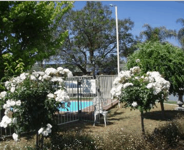 Aromet Motor Inn - Maitland Accommodation 5