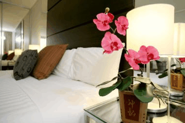 The Sebel Hotel Parramatta - Maitland Accommodation